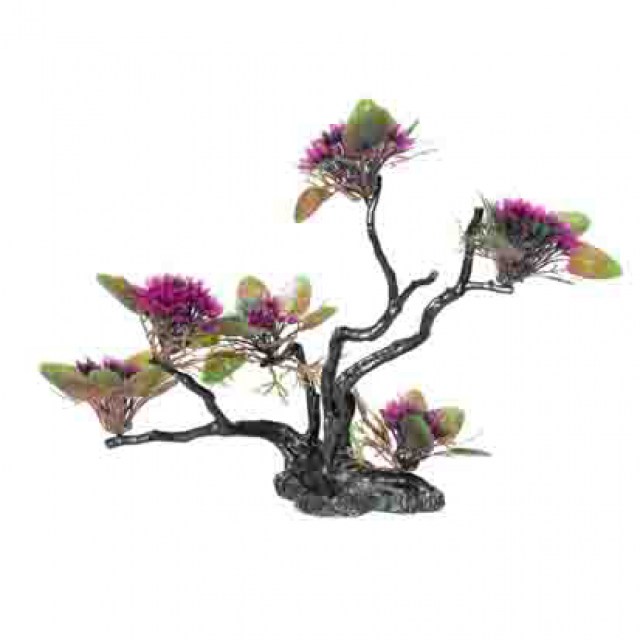 decor of aquarium4